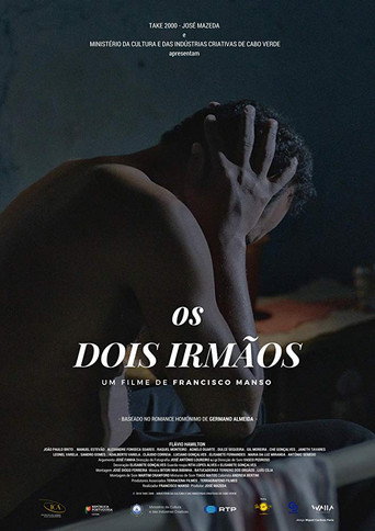 The Two Brothers movie poster