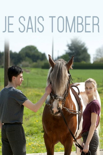 Falling for Love movie poster