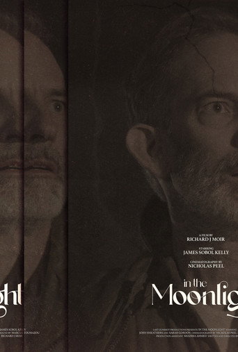 In The Moonlight movie poster