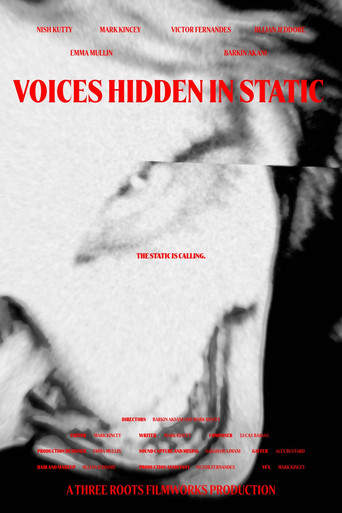 Voices Hidden in Static movie poster
