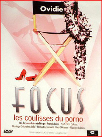Focus movie poster