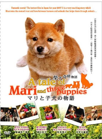 A Tale of Mari and Three Puppies movie poster