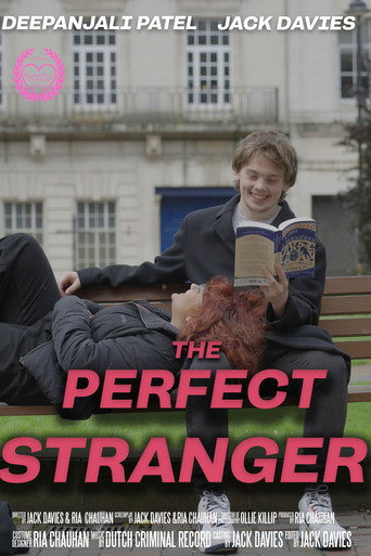 The Perfect Stranger movie poster