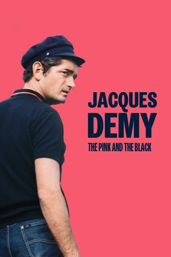 Jacques Demy: The Pink and the Black movie poster