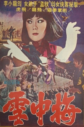 Snow Plum Blossom movie poster