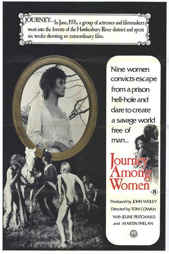 Journey Among Women movie poster