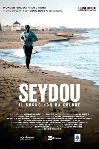 Seydou - Dreams Have No Color movie poster