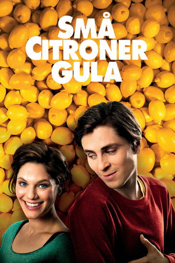 Love and Lemons movie poster