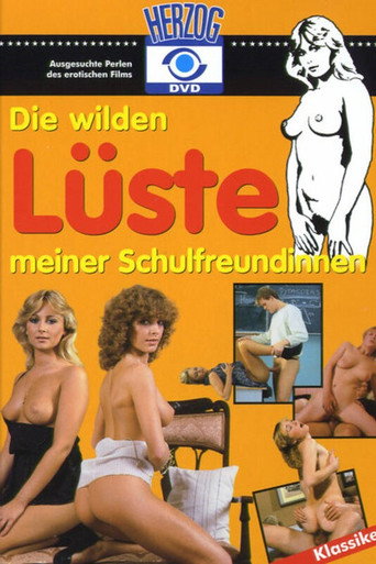 Die wilden Lüste meiner Schulfreundinnen movie poster
