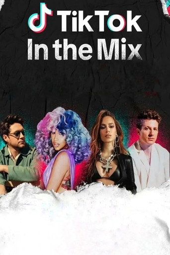 TikTok: In the Mix movie poster