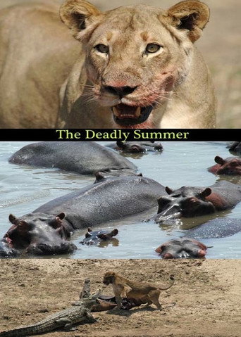 Deadly Summer movie poster