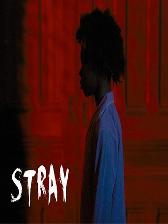 Stray movie poster