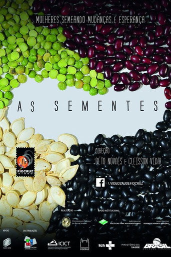 As Sementes movie poster