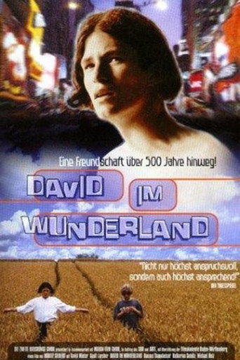 David im Wunderland movie poster