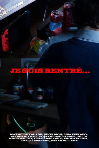 Je suis rentré... movie poster