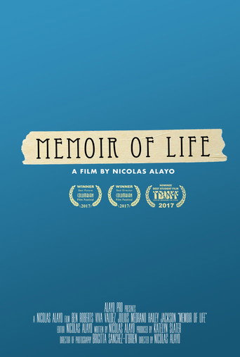 Memoir of Life movie poster