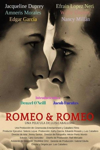 Romeo y Romeo movie poster
