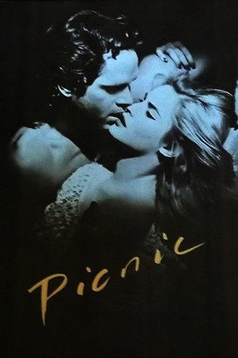 Picnic movie poster