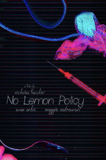 No Lemon Policy movie poster