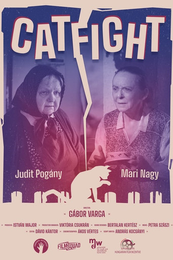 Catfight movie poster