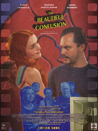 The Beautiful Confusion movie poster