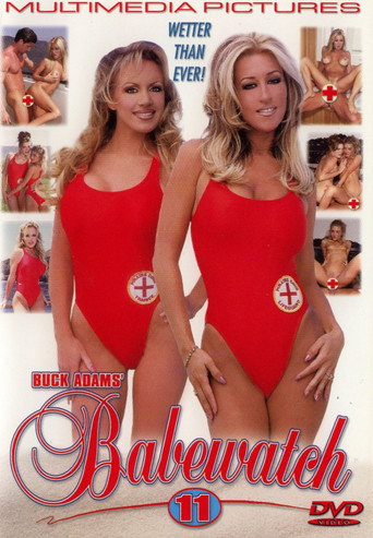 Babewatch 11 movie poster