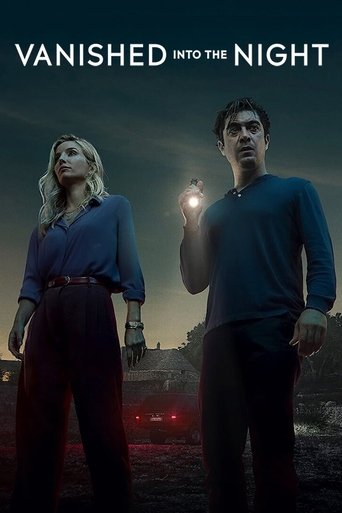 Vanished into the Night movie poster
