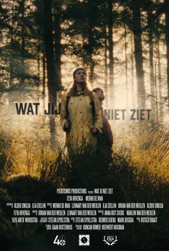 wat jij niet ziet movie poster