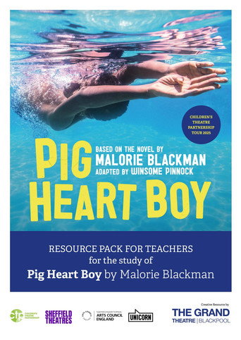 Pig Heart Boy movie poster