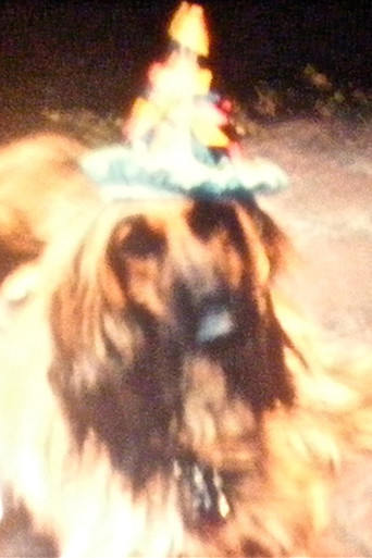 Ron Amok (Dog Party) movie poster