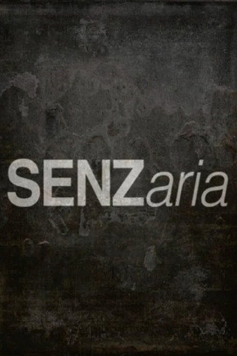 SENZaria movie poster