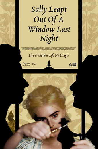 Sally Leapt Out of a Window Last Night movie poster