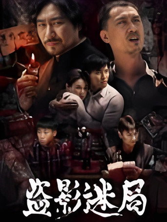 盗影迷局 movie poster