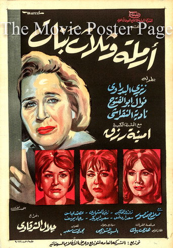 A Widow with Three Daughters movie poster