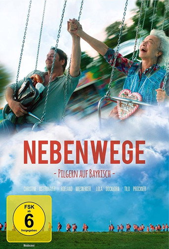 Nebenwege movie poster