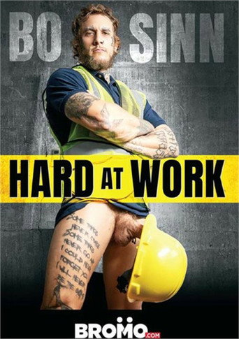 Bo Sinn: Hard at Work movie poster