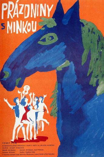 Holiday with Minka movie poster