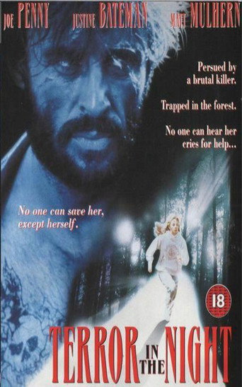 Terror in the Night movie poster