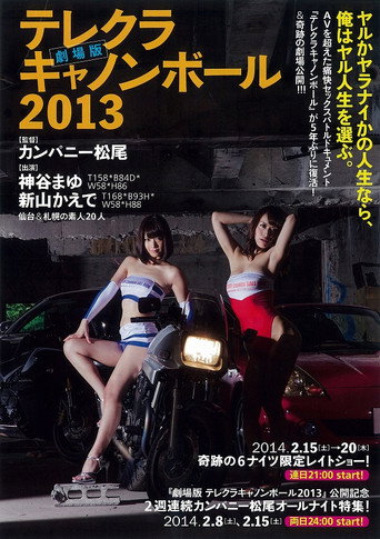 The Sex Cannon Ball Run 2013 movie poster