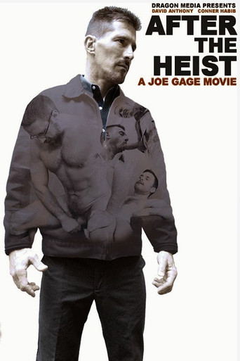 After the Heist movie poster