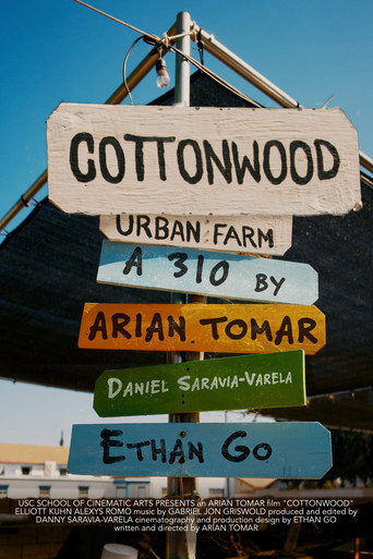 Cottonwood movie poster