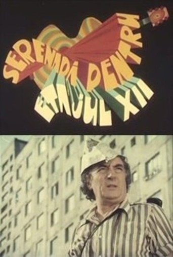 Serenade for the 12th Floor movie poster