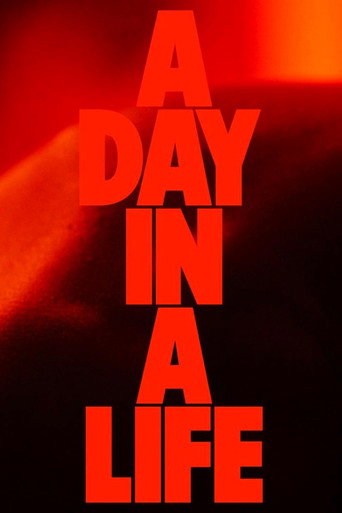 A Day in a Life movie poster