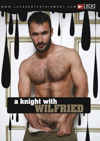 Auditions 28: A Knight With Wilfried movie poster