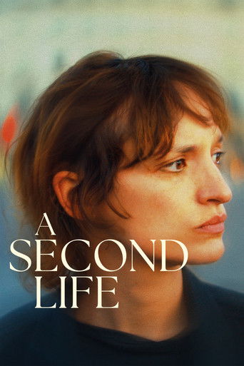 A Second Life movie poster
