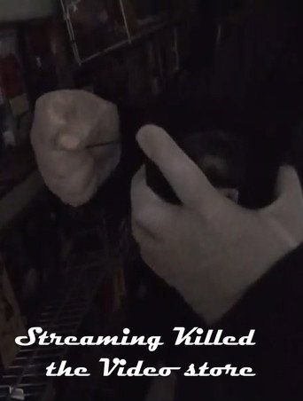Streaming Killed the Video Store* movie poster