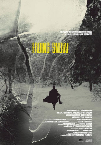 Fading Snow movie poster