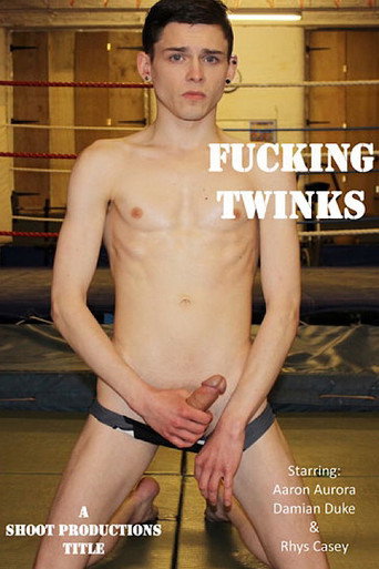Fucking Twinks movie poster