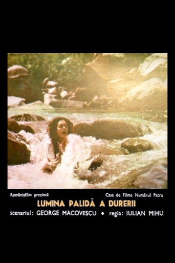 The Pale Light of Sorrow movie poster