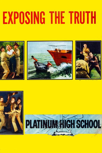 Platinum High School movie poster